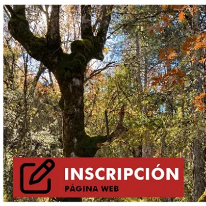 Sierra de Segura 2026